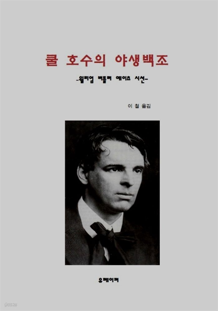 쿨 호수의 야생 백조