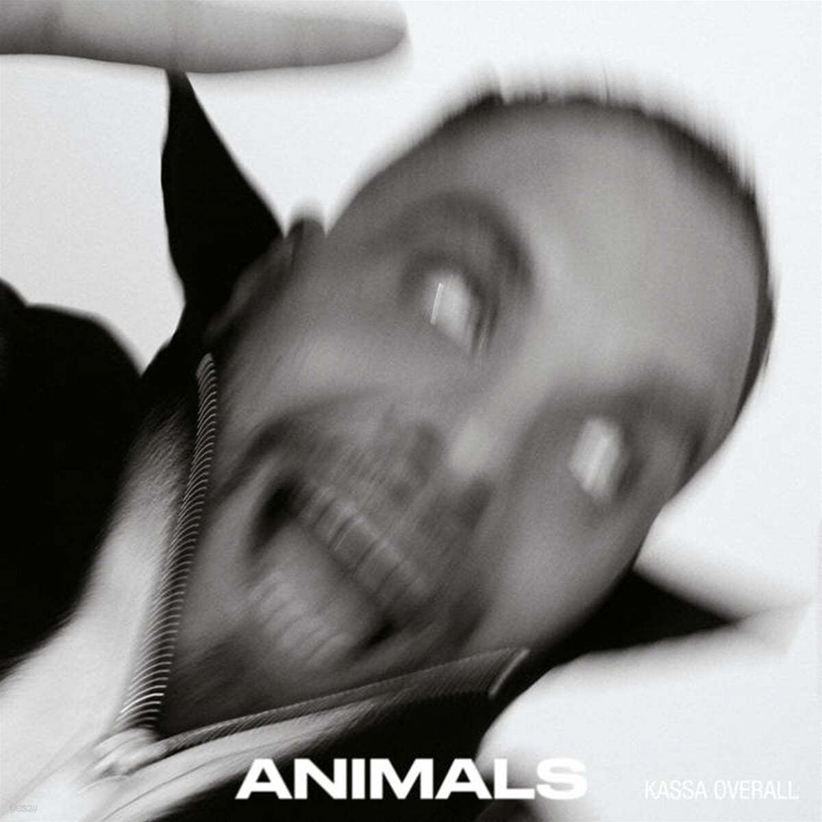 Kassa Overall (카사 오버올) - ANIMALS [투명 컬러 LP] 