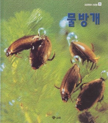 물방개