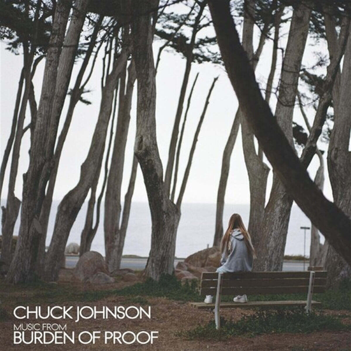 HBO '버든 오브 프루프' 다큐멘터리 음악 (Music From Burden Of Proof by Chuck Johnson) [실버 컬러 LP]