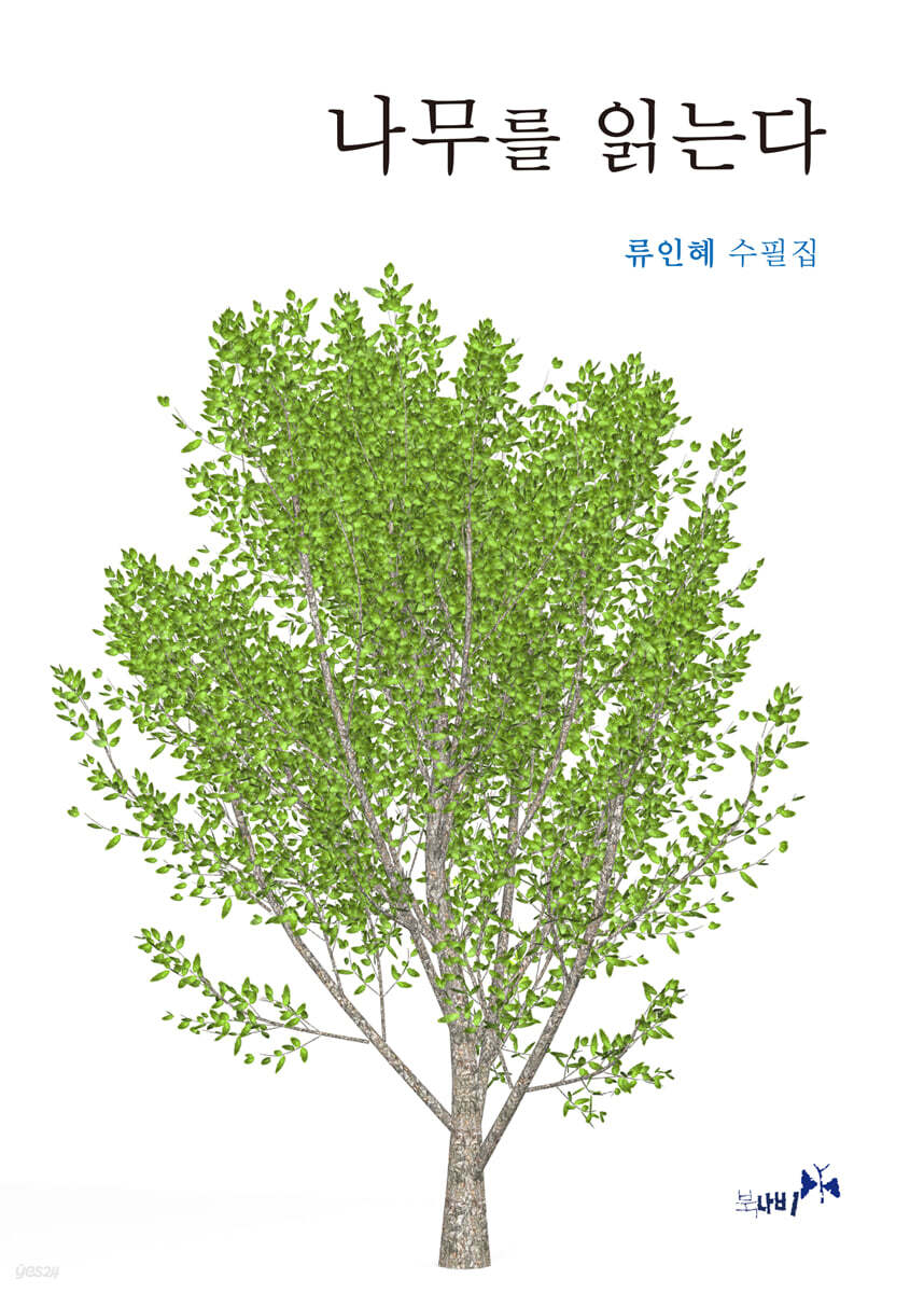 나무를 읽는다