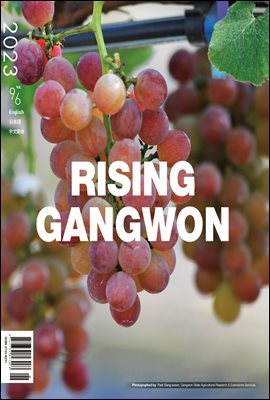 RISING GANGWON Volume 96 (Ʈ  ܱ)