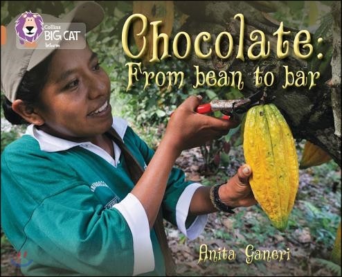 The Chocolate: from Bean to Bar