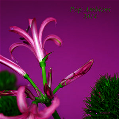 Various Artists - Pop Ambient 2014 (LP+CD)