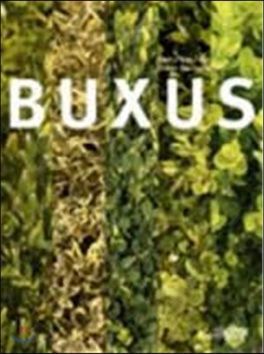 Buxus