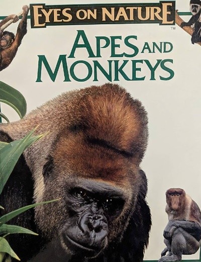 Apes and monkeys (Eyes on nature)