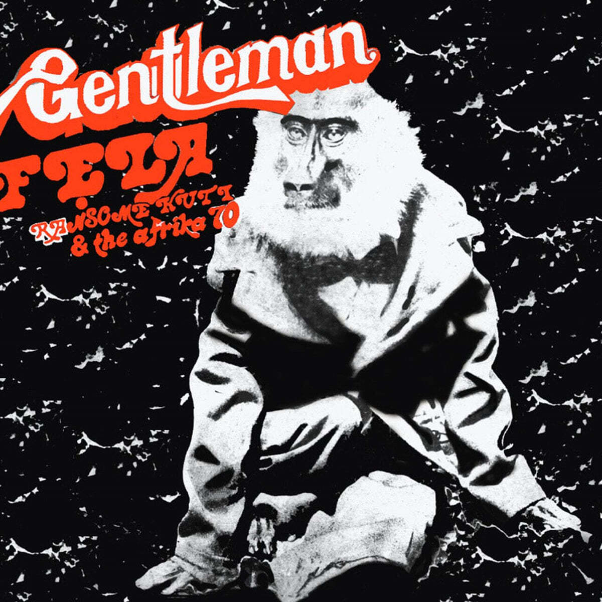 Fela Kuti (펠라 쿠티) - Gentleman [투명 블랙 스모키 컬러 LP]