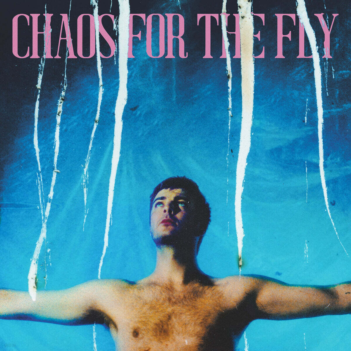 Grian Chatten (그리안 채튼) - Chaos For The Fly [LP]