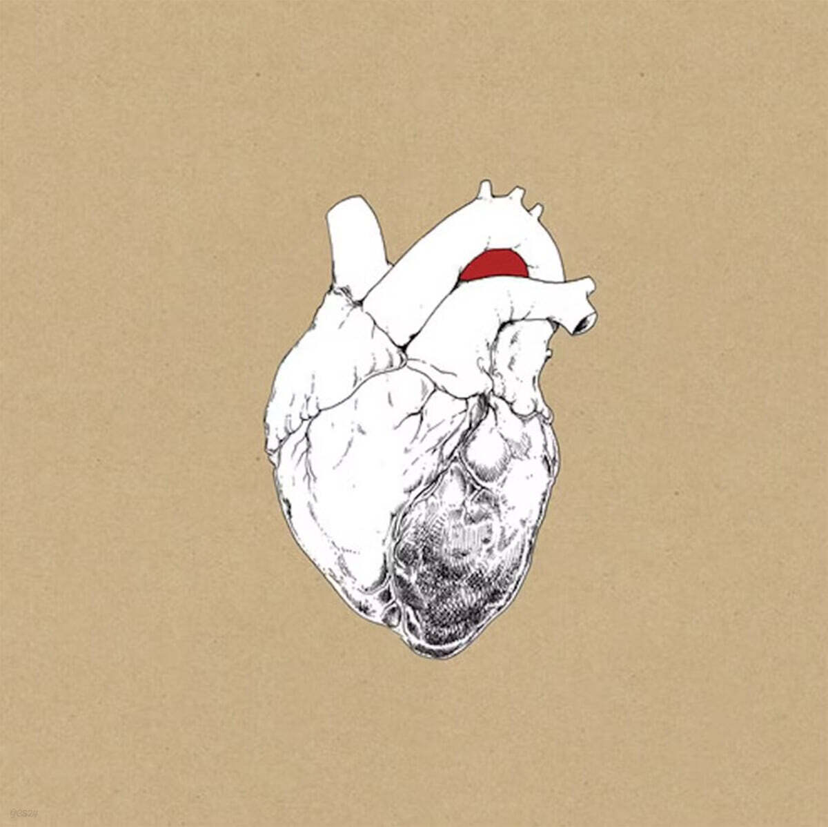 Swans (스완) - The Beggar [2LP]