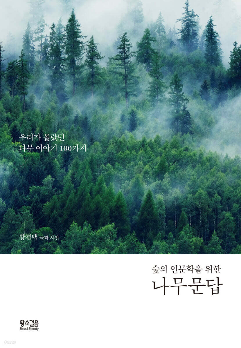 나무 문답