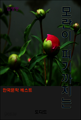 모란이 피기까지는