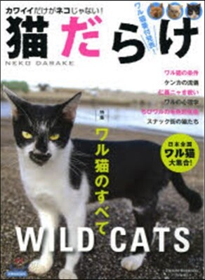 猫だらけ
