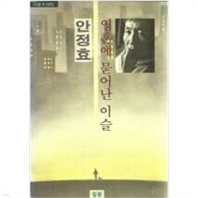 영혼에 묻어난 이슬: 안정효 첫 산문집 (1991 초판)
