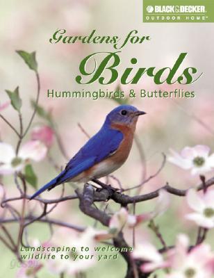 Gardens for Birds: Hummingbirds & Butterflies