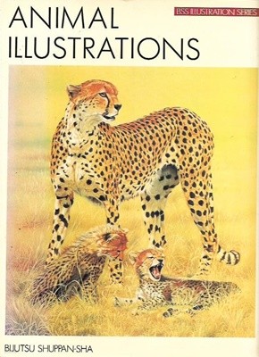 Animal Illustrations