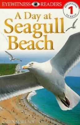 A Day at Seagull Beach (DK Readers Level 1) Paperback