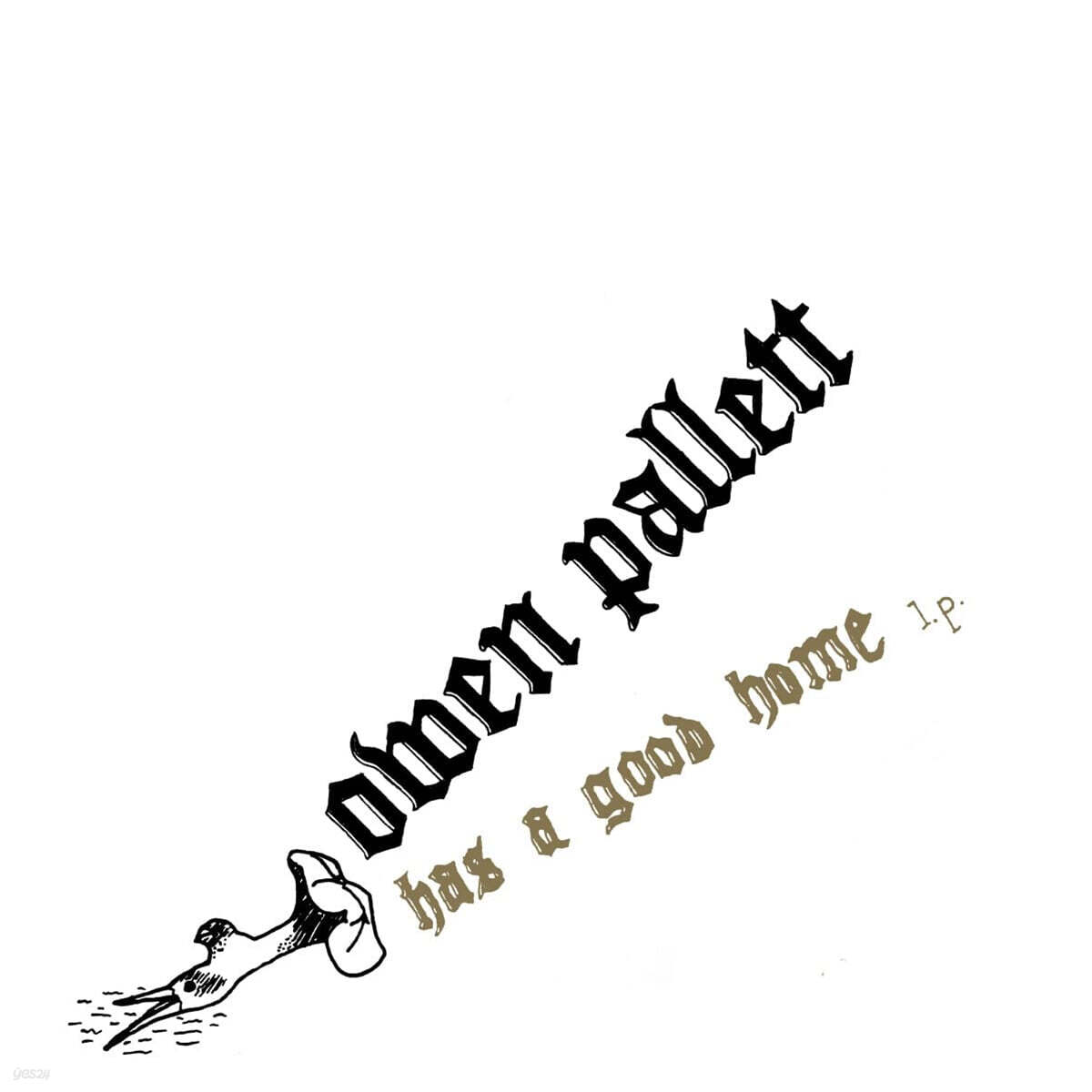 Owen Pallett (오웬 팔렛) - 1집 Has A Good Home [LP]
