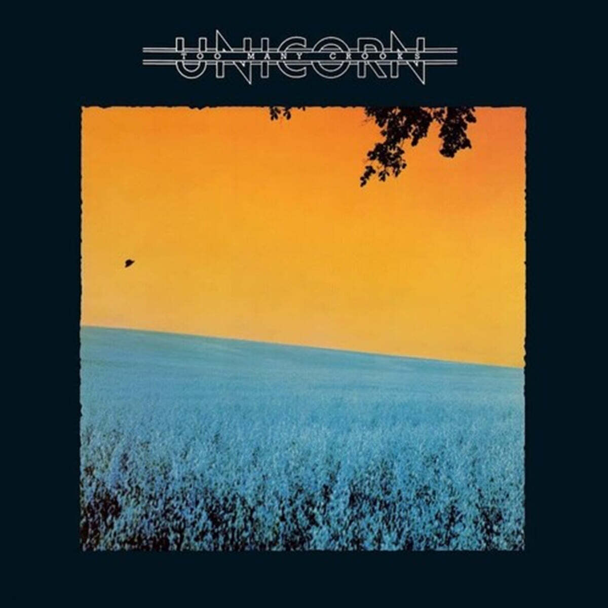 Unicorn (유니콘) - Too Many Crooks [LP]