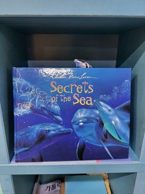 Secrets of the Sea - 팝업책
