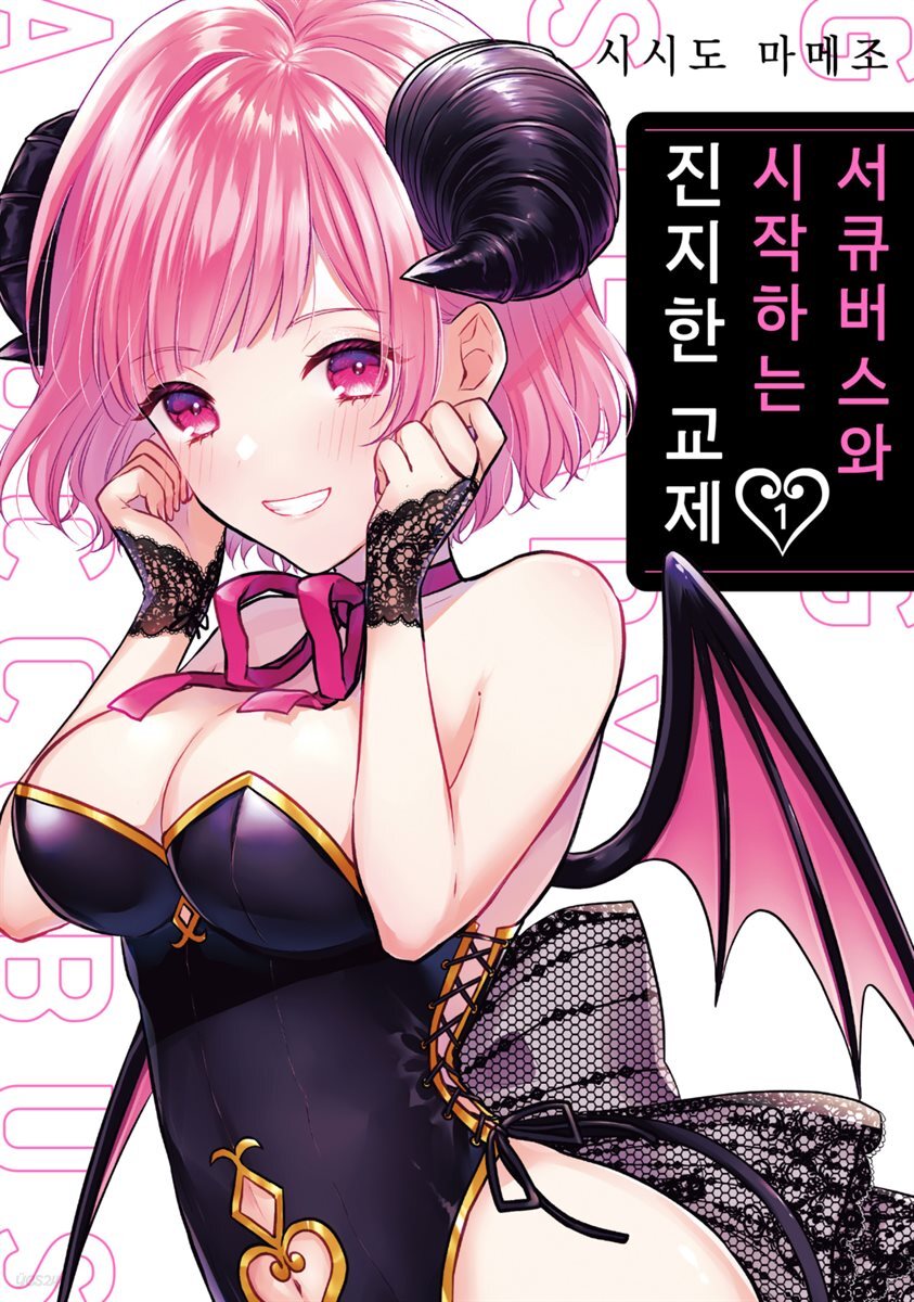 서큐버스와 시작하는 진지한 교제