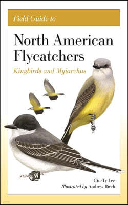 Field Guide to North American Flycatchers: Kingbirds and Myiarchus