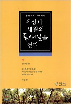 푸른사상  세상과 세월의 틈새길을 걷다 송순태 시 에세이