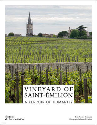 Vineyard of Saint-Émilion: A Terroir of Humanity