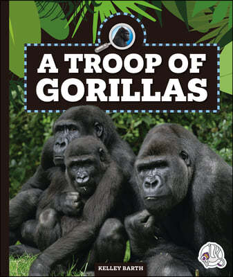A Troop of Gorillas