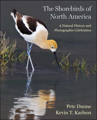 The Shorebirds of North America: A Natural History and Photographic Celebration