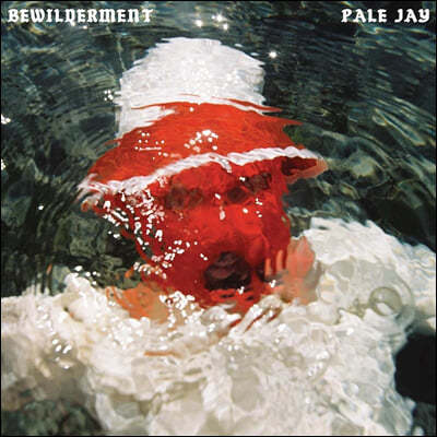 Pale Jay ( ) - 1 Bewilderment [LP]