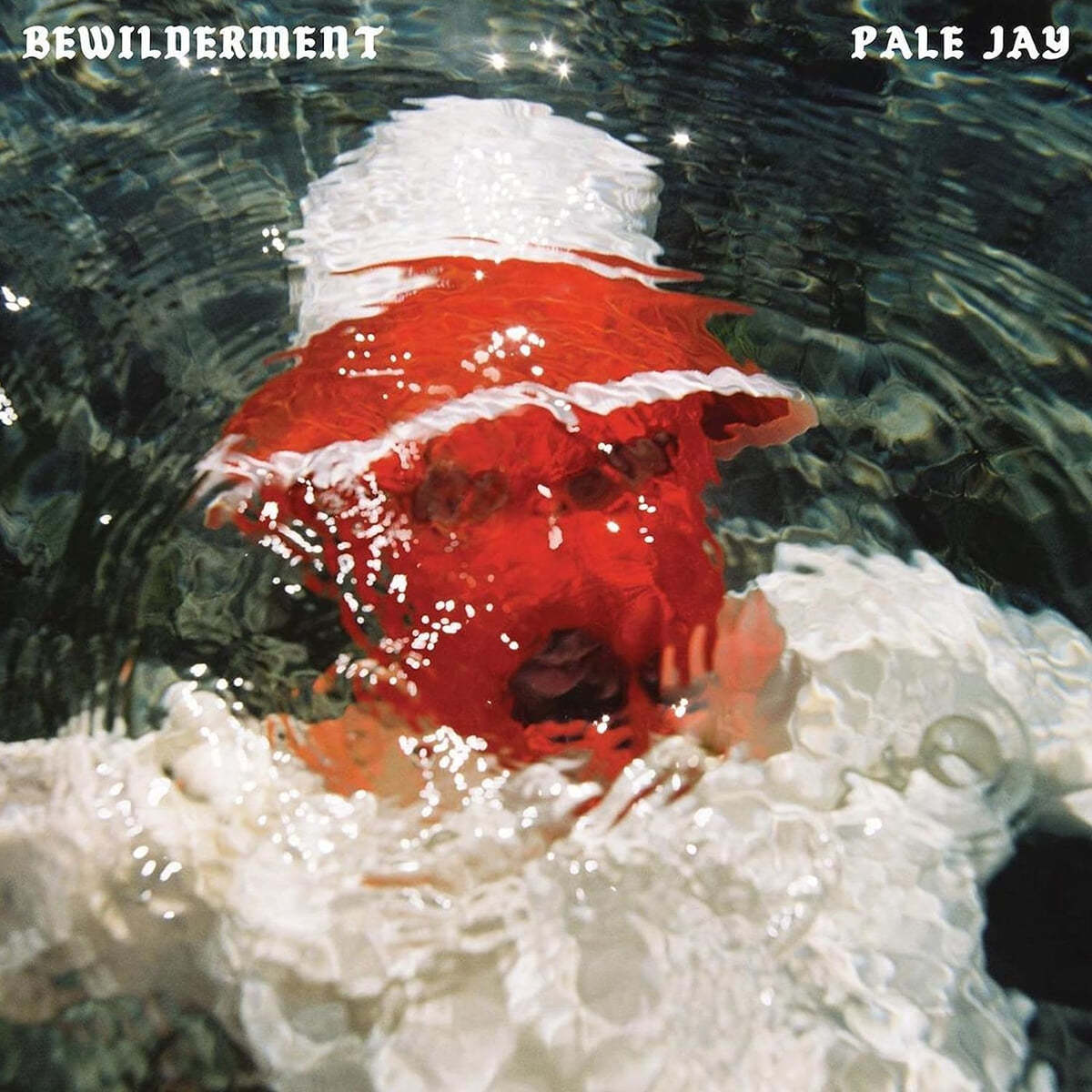 Pale Jay (페일 제이) - 1집 Bewilderment [레드 컬러 LP]