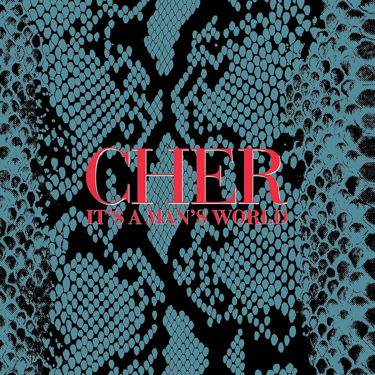 Cher (셰어) - It's a Man's World