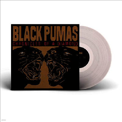Black Pumas — Chronicles Of A Diamond 앨범 커버