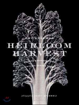 Heirloom Harvest: Modern Daguerreotypes of Historic Garden Treasures