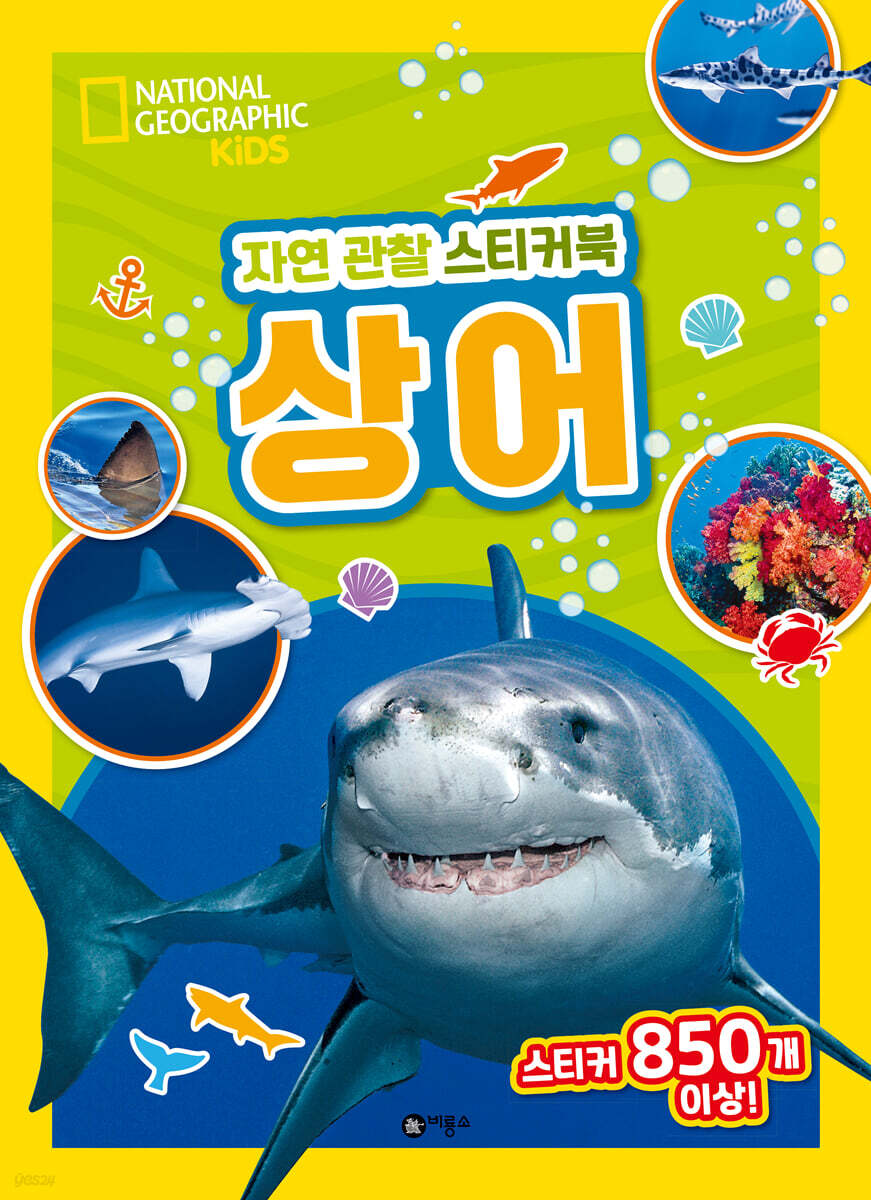 내셔널지오그래픽 키즈 자연 관찰 스티커북 상어