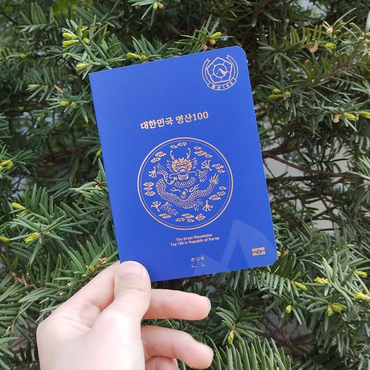 100대 명산 여권 등산 지도 [산림청 지정 대한민국 국립공원 산 스탬프 도장 수첩 투어 산악회 기념품]