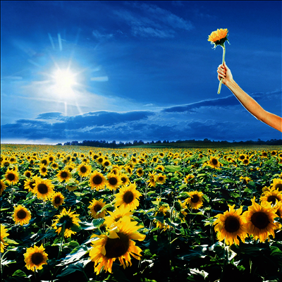 Stone Temple Pilots — Thank You 앨범 커버