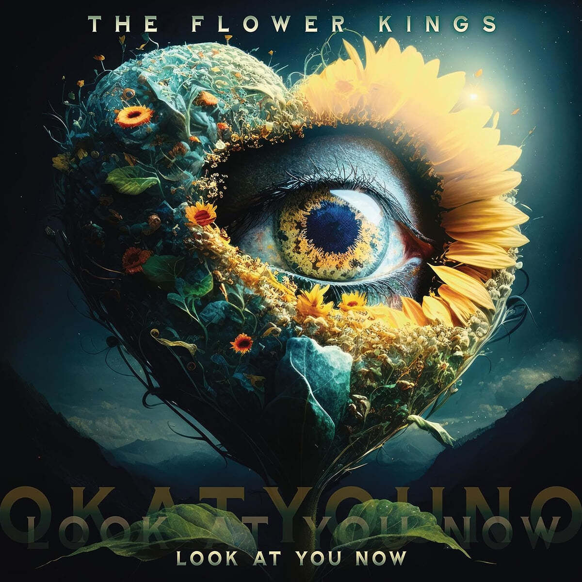 The Flower Kings (플라워 킹스) - Look At You Now [2LP]
