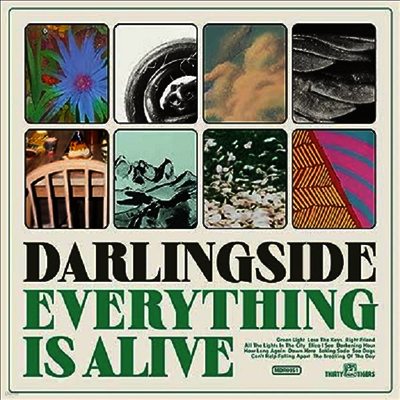 Darlingside — Everything Is Alive 앨범 커버