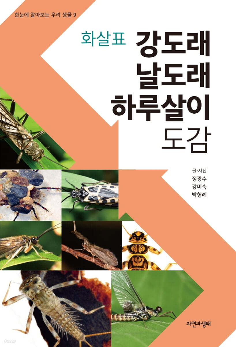화살표 강도래·날도래·하루살이 도감