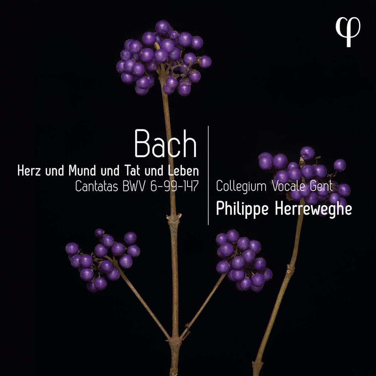 Philippe Herreweghe 바흐: 칸타타 6번, 99번 &amp; 147번 &#39;마음과 입과 생각과 행동으로&#39; (Bach: Cantatas BWV 6, 99 &amp; 147)