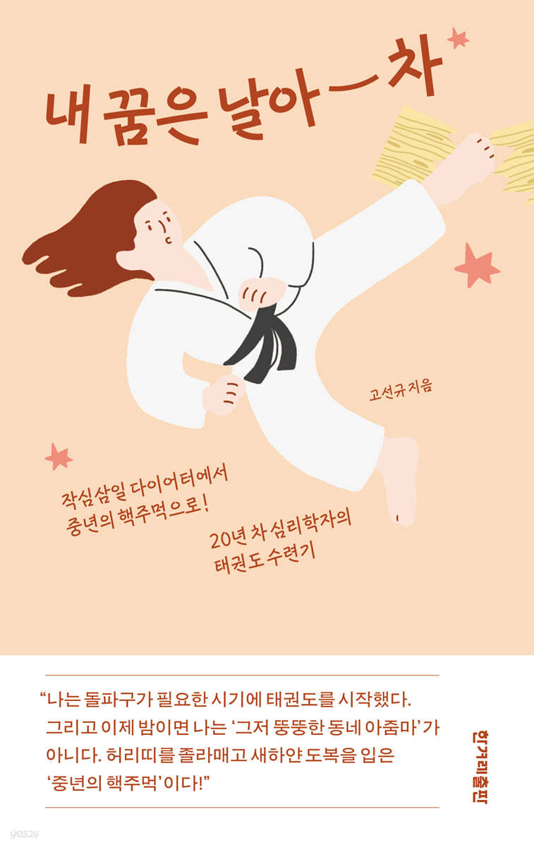 내 꿈은 날아 차 (큰글자도서)