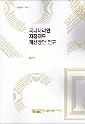 국내대리인 지정제도 개선방안연구