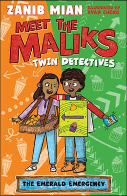 Meet the Maliks ? Twin Detectives: Meet the Maliks Book 3