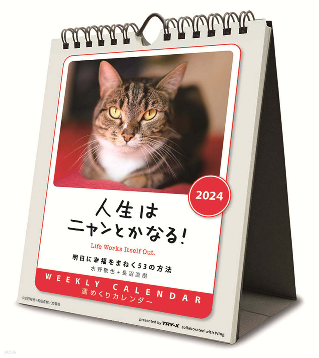 人生はニャンとかなる! 卓上/壁掛 2024年 カレンダ-   