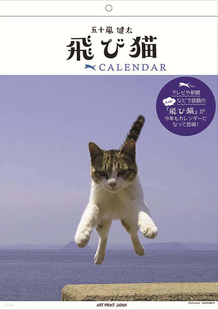 飛び猫 2024年 カレンダ-   