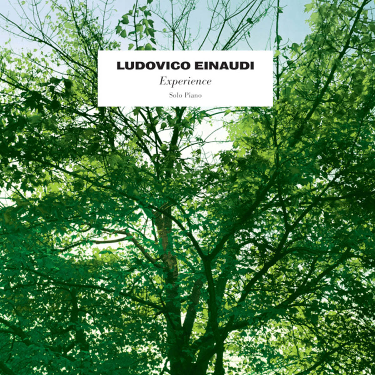Ludovico Einaudi (루도비코 에이나우디) - Experience [7인치 Vinyl]