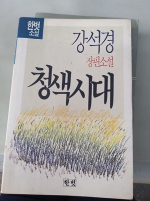 강석경  청색시대