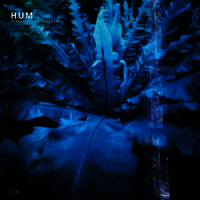 Hum — Downward Is Heavenward (Reissue) 앨범 커버