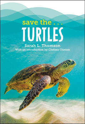 Save The...Turtles